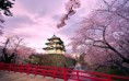 /album/resim-galerisi/japonya-jpg2/